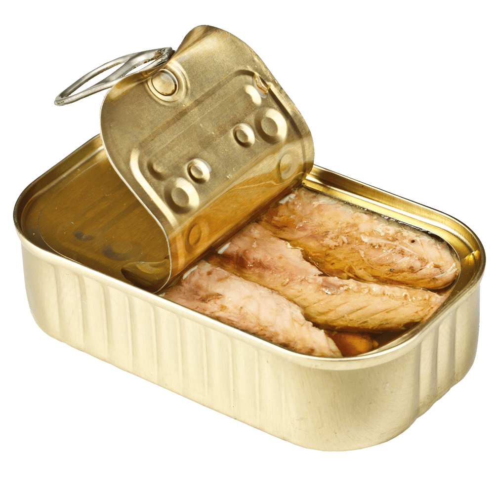 tin of mackerel opened ptvmfwx.png